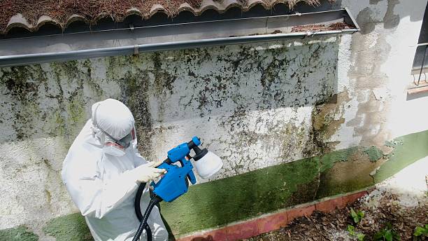 Top rated local Mold Remediation specialists in Aspers, PA